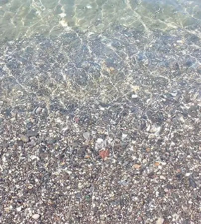 La Magia Del Mare Ischia